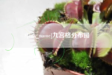 泗洪九宫格分布图