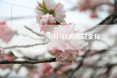 泗洪11月9日消防日全称