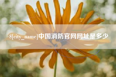 泗洪中国消防官网网址是多少
