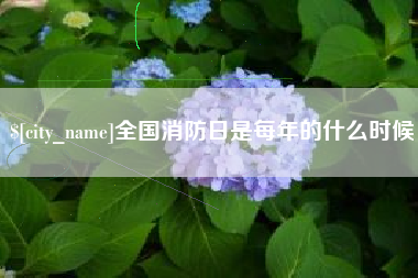 泗洪全国消防日是每年的什么时候