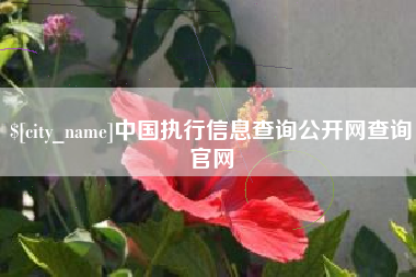 泗洪中国执行信息查询公开网查询官网