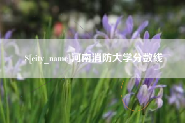 泗洪河南消防大学分数线