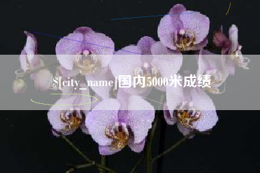 泗洪国内5000米成绩