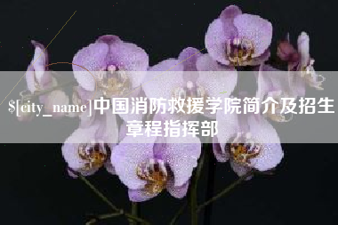 泗洪中国消防救援学院简介及招生章程指挥部