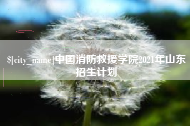 泗洪中国消防救援学院2021年山东招生计划