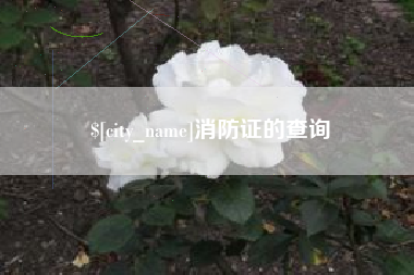 泗洪消防证的查询