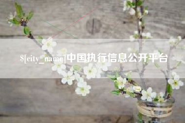 泗洪中国执行信息公开平台