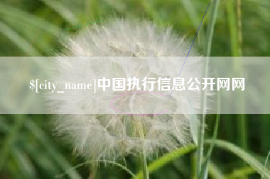 泗洪中国执行信息公开网网
