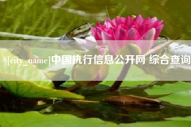 泗洪中国执行信息公开网 综合查询