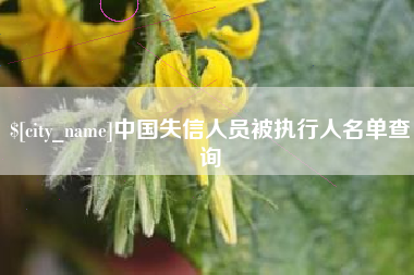 泗洪中国失信人员被执行人名单查询
