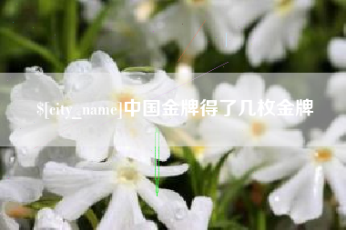 泗洪中国金牌得了几枚金牌