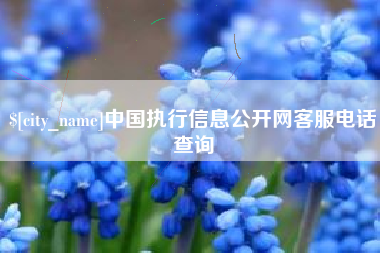 泗洪中国执行信息公开网客服电话查询