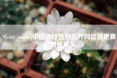 泗洪中国执行信息公开网信息更新时间是多久