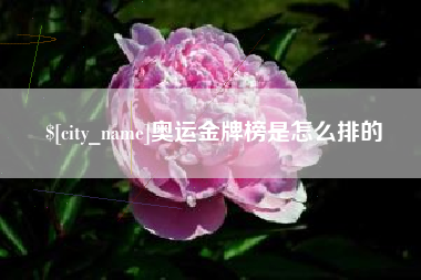 泗洪奥运金牌榜是怎么排的
