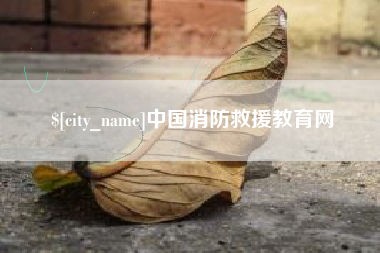 泗洪中国消防救援教育网