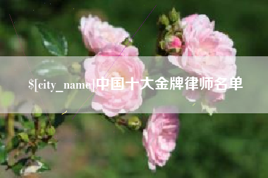 泗洪中国十大金牌律师名单