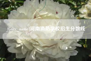 泗洪河南消防学校招生分数线