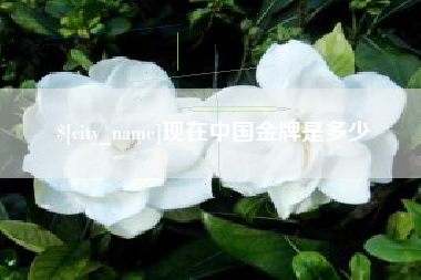 泗洪现在中国金牌是多少
