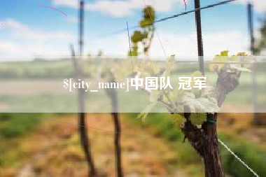 泗洪中国队 冠军