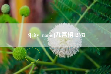 泗洪九宫格42633