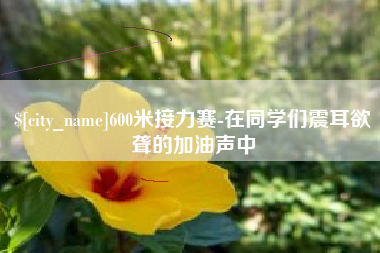 泗洪600米接力赛-在同学们震耳欲聋的加油声中