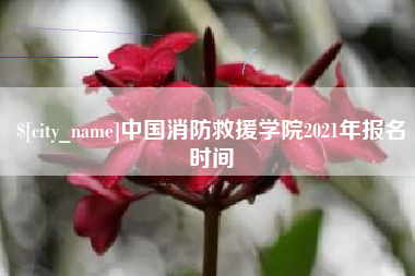 泗洪中国消防救援学院2021年报名时间