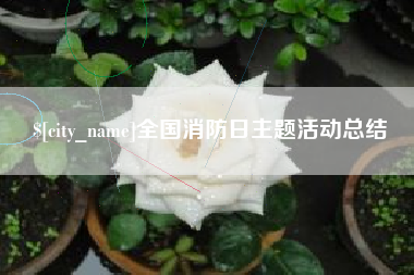泗洪全国消防日主题活动总结