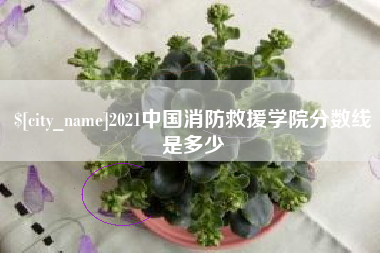 泗洪2021中国消防救援学院分数线是多少