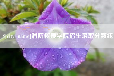 泗洪消防救援学院招生录取分数线