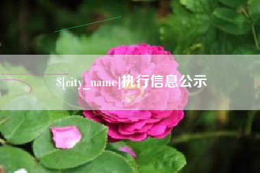 泗洪执行信息公示