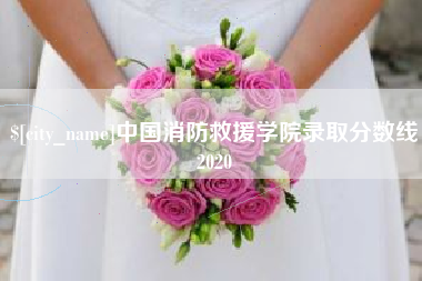 泗洪中国消防救援学院录取分数线2020