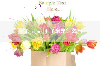泗洪王子豪是怎么写