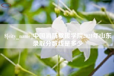 泗洪中国消防救援学院2021年山东录取分数线是多少