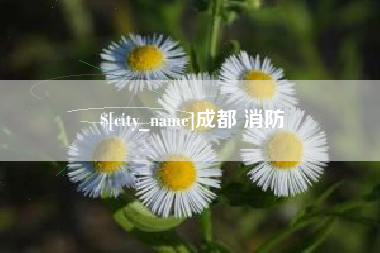 泗洪成都 消防