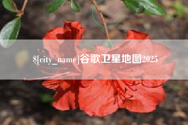 泗洪谷歌卫星地图2025