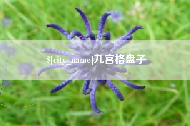 泗洪九宫格盘子