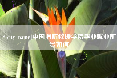 泗洪中国消防救援学院毕业就业前景如何