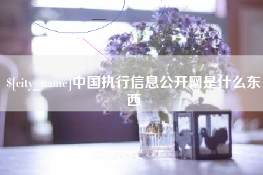 泗洪中国执行信息公开网是什么东西