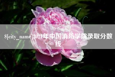 泗洪2021年中国消防学院录取分数线