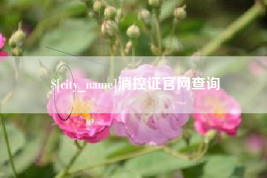 泗洪消控证官网查询