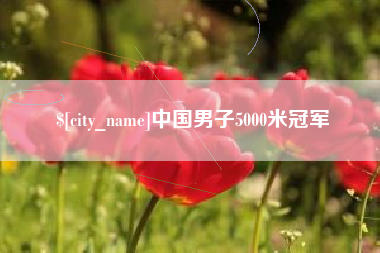 泗洪中国男子5000米冠军