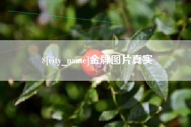 泗洪金牌图片真实