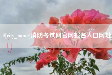 泗洪消防考试网官网报名入口网址