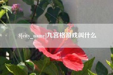 泗洪九宫格游戏叫什么