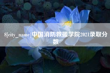 泗洪中国消防救援学院2021录取分数