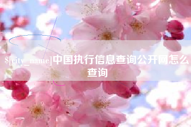 泗洪中国执行信息查询公开网怎么查询