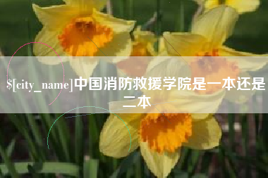泗洪中国消防救援学院是一本还是二本