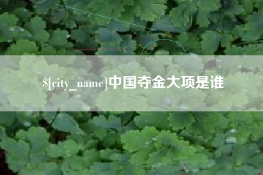 泗洪中国夺金大项是谁