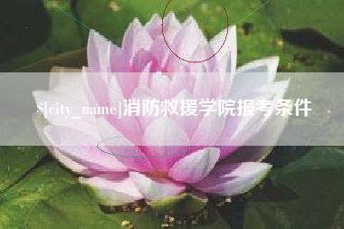 泗洪消防救援学院报考条件