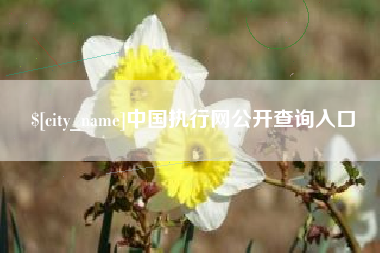 泗洪中国执行网公开查询入口